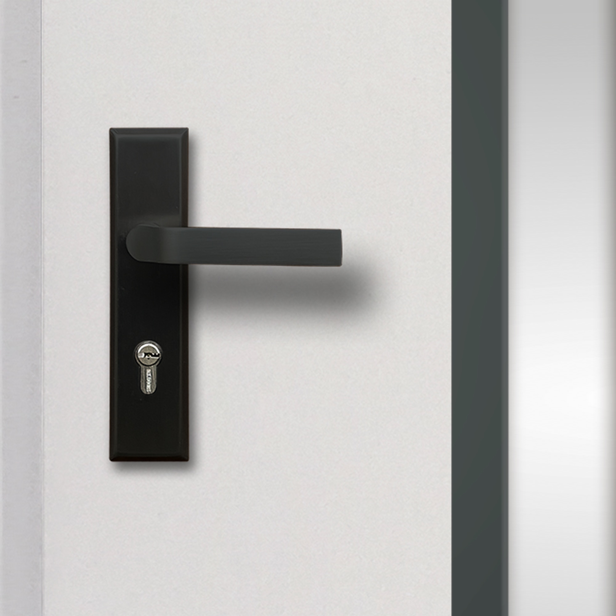 Usa de exterior, 207 cm, stanga, alb cu negru  Temida