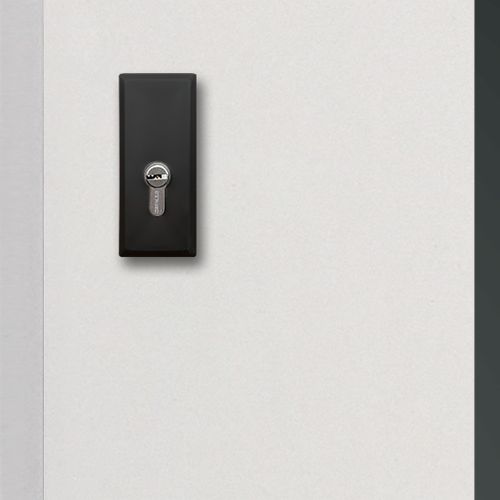 Usa de exterior, 207 cm, dreapta, alb/negru   Temida