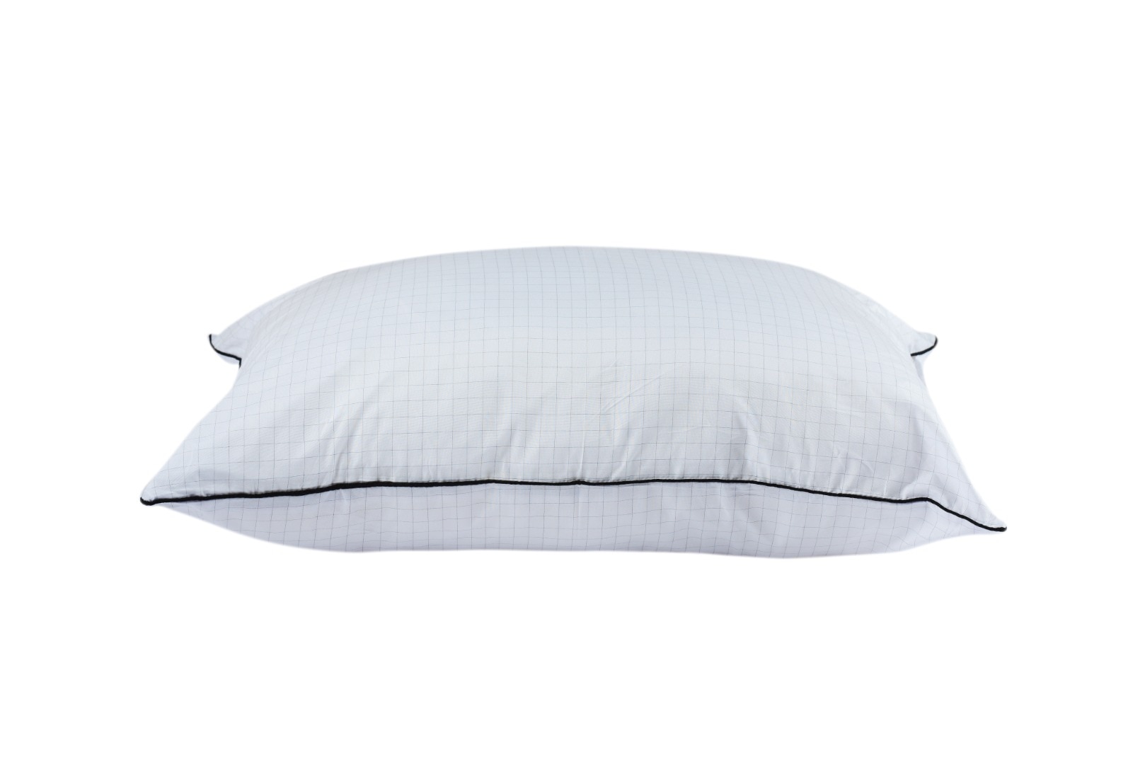 Perna alba, 50 x 70 cm