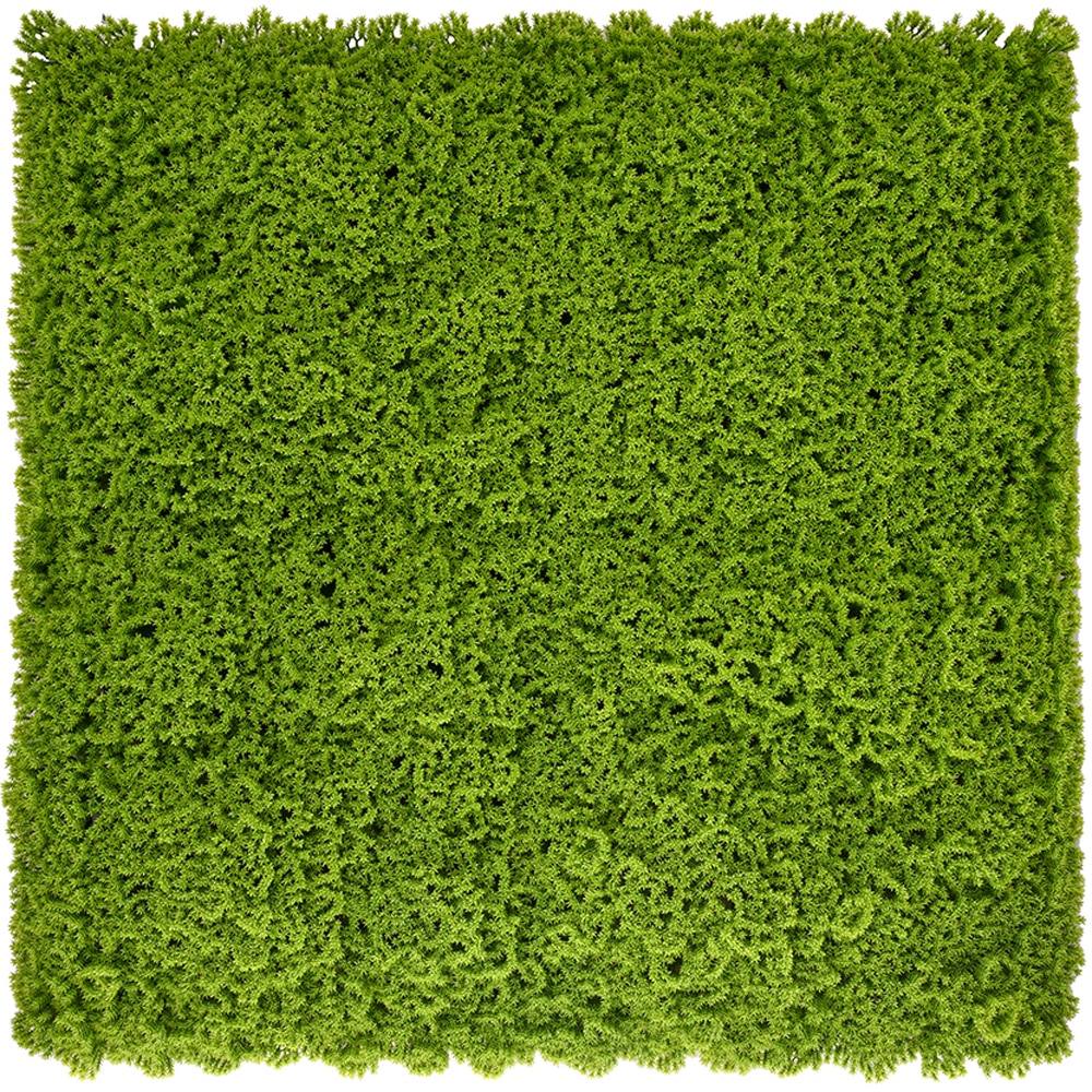 Panou gard Moss, 50 x 50 cm, verde