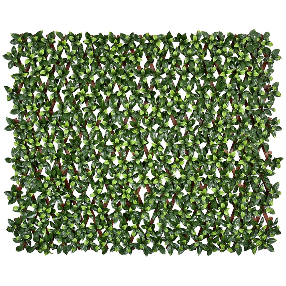Panou gard Gardenia Leaves, 180 x 90 cm, verde-maro
