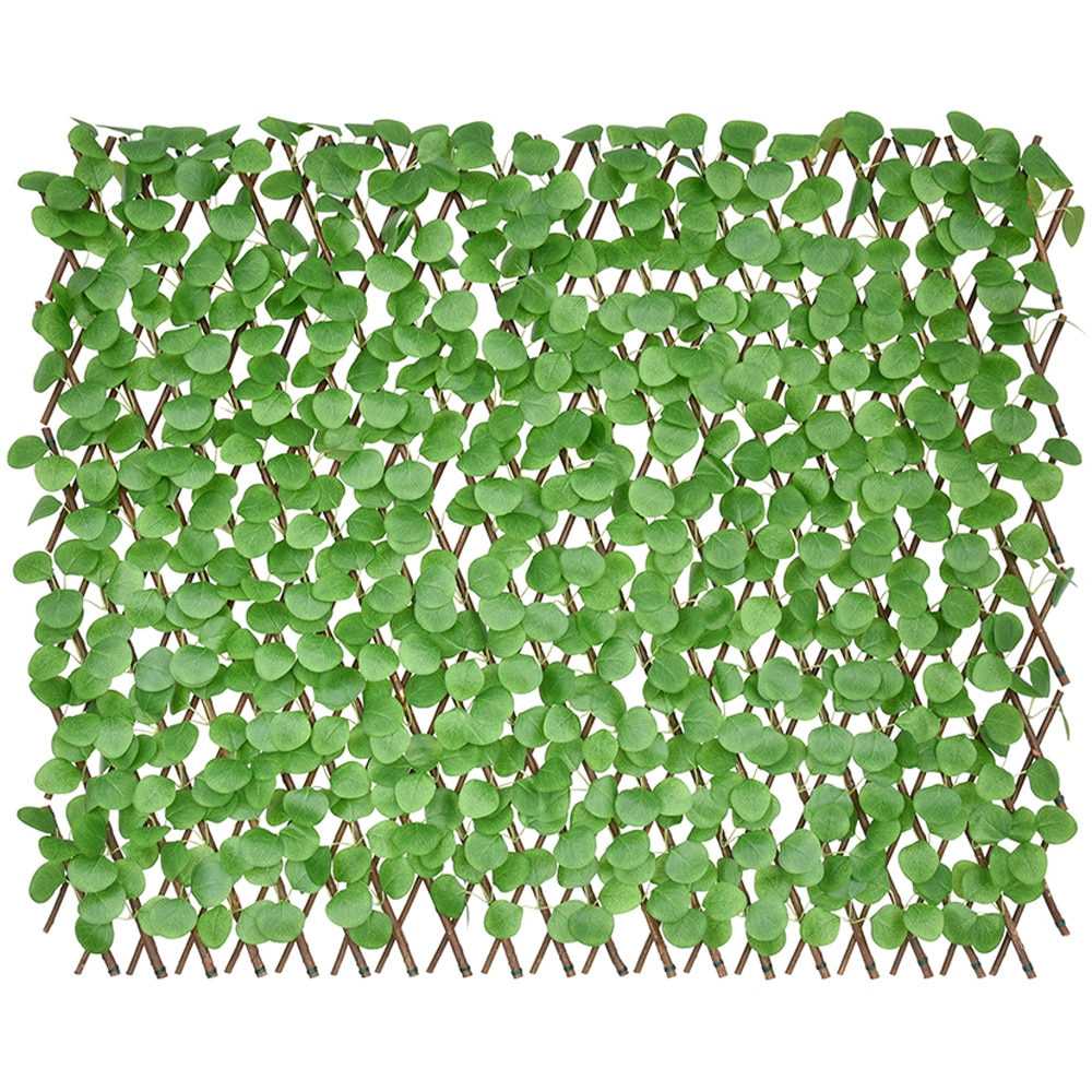 Panou gard Eucalyptus Leaves G, 180 x 90 cm, verde