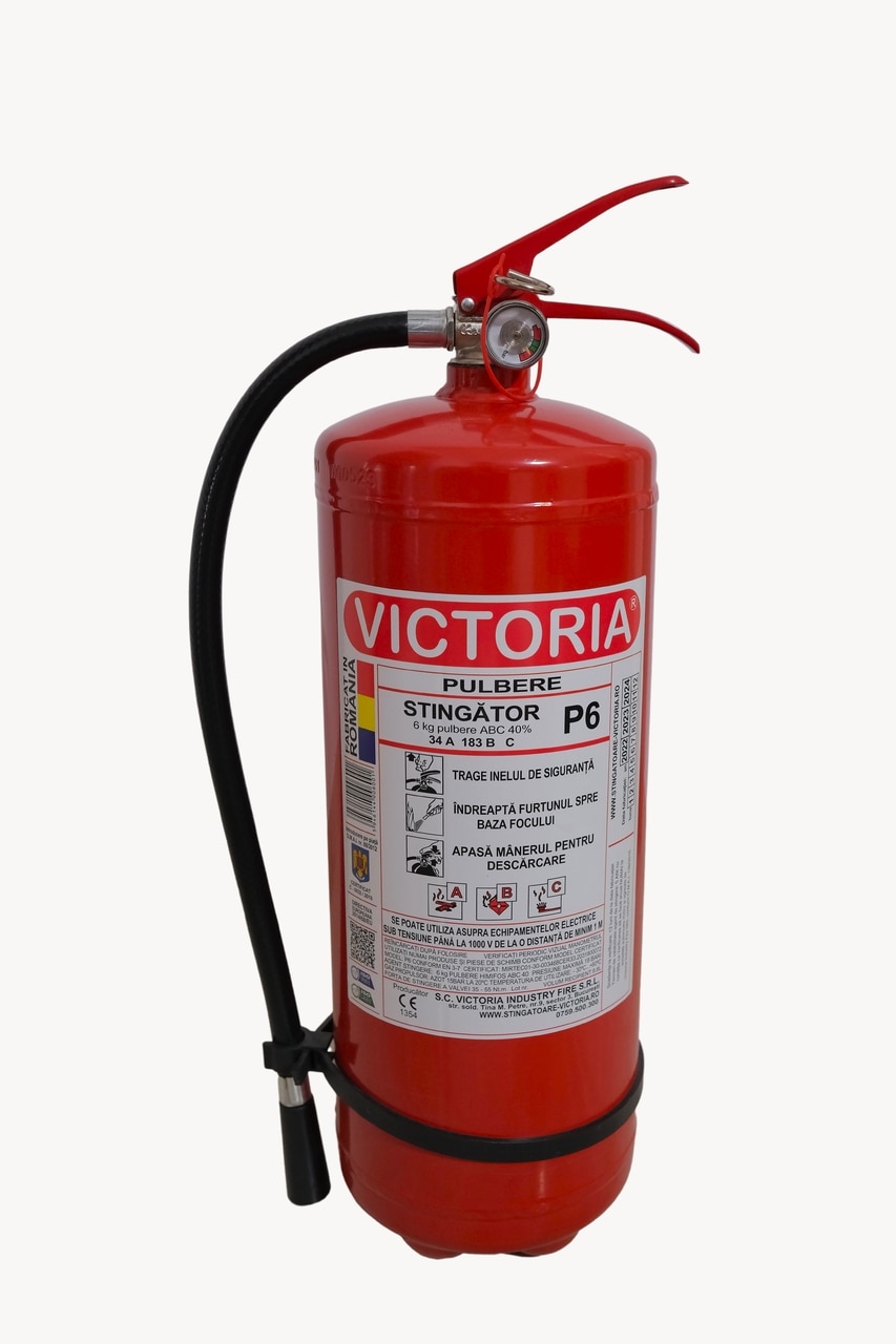 Stingator cu pulbere P6 6KG