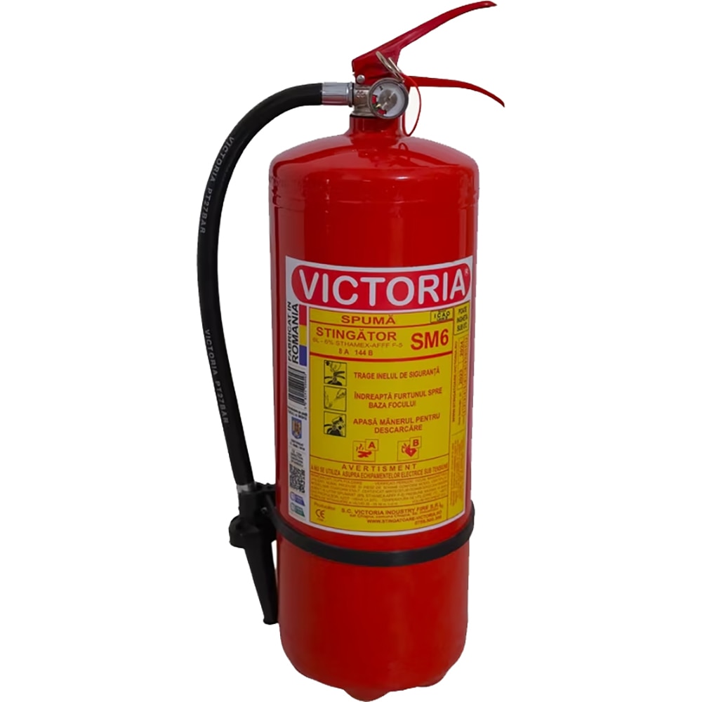 Stingator cu spuma SM6, 6 Kg