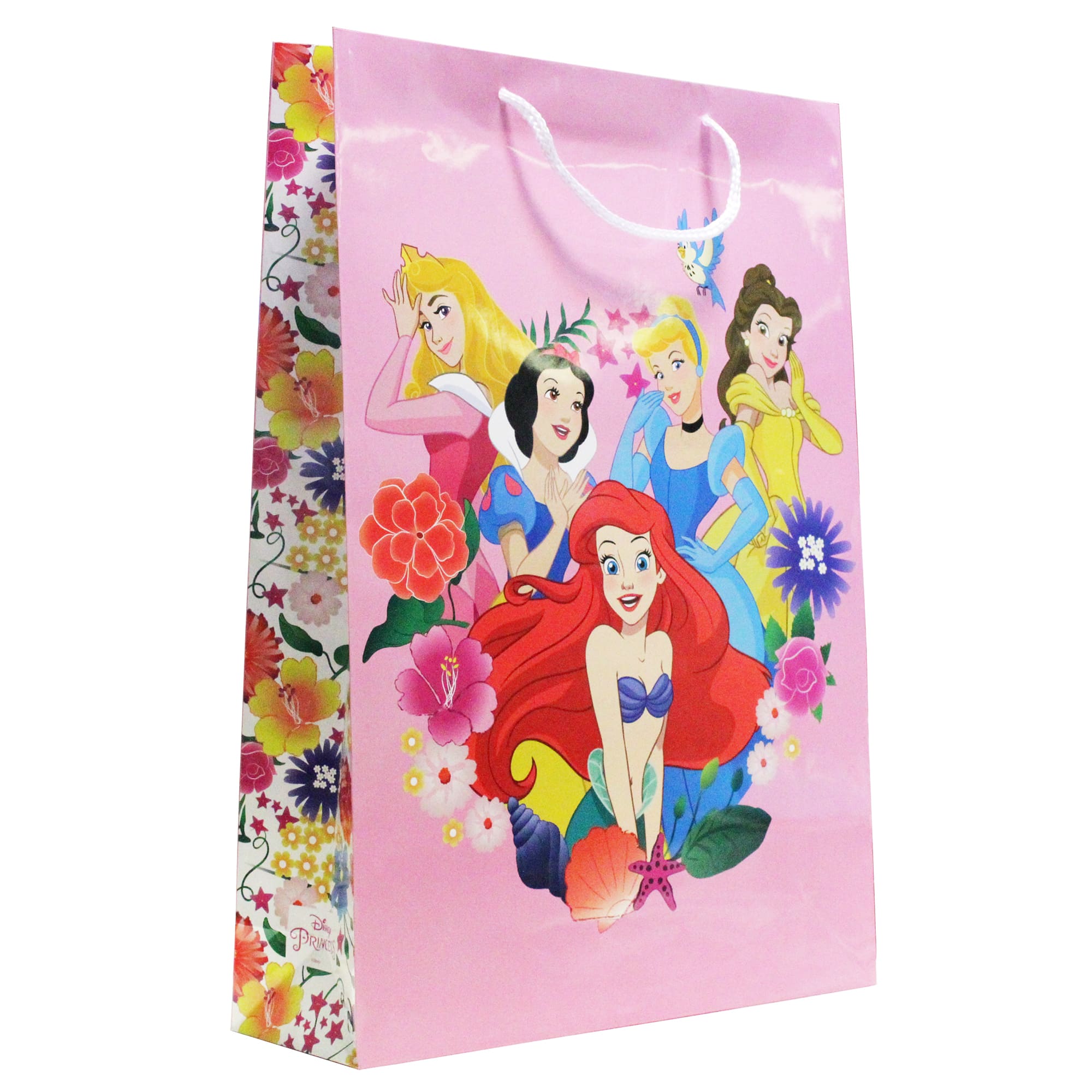 Punga cadou Disney XL, multicolor 