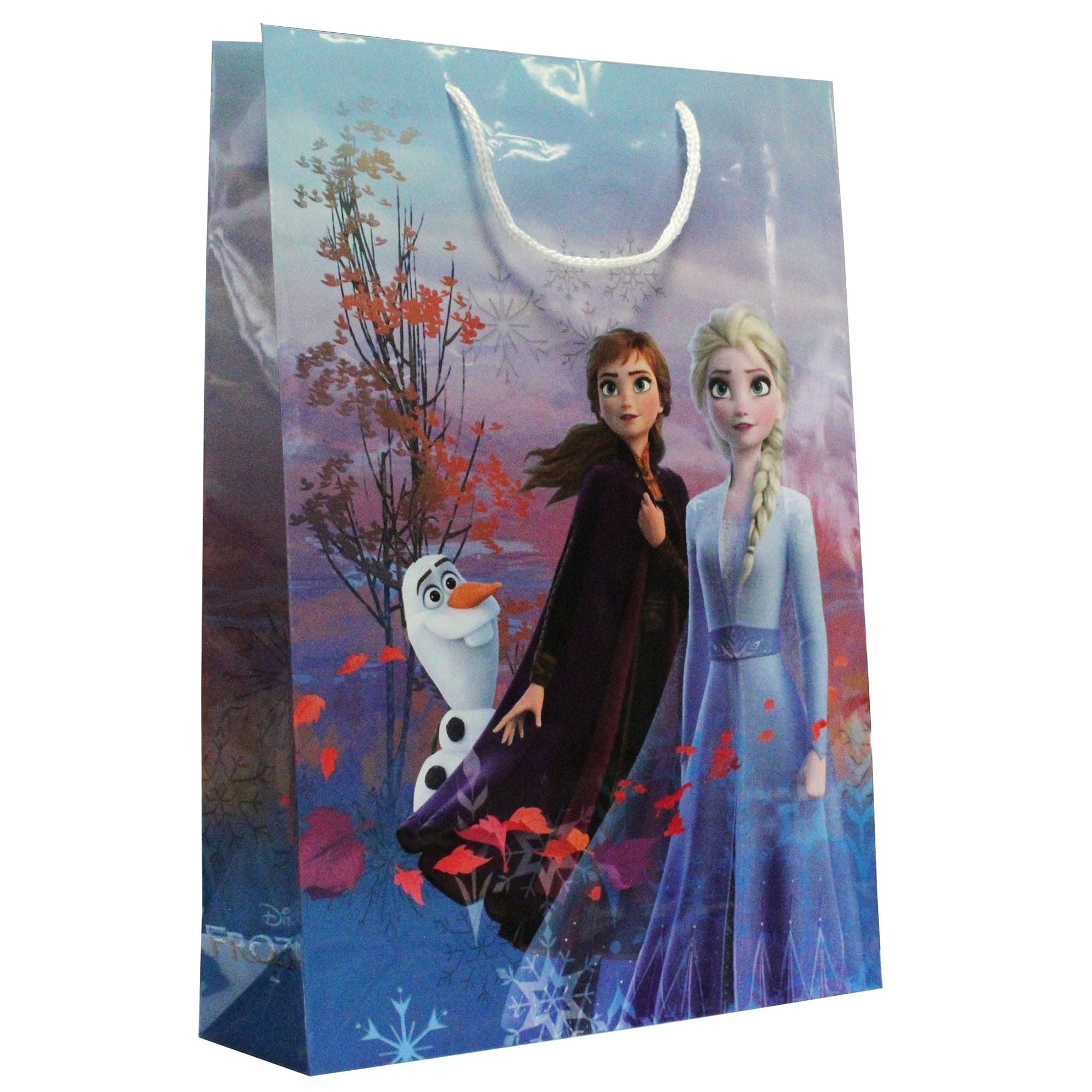 Punga cadou Disney XL, multicolor 