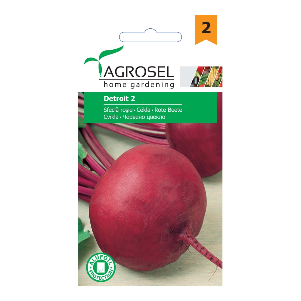 Seminte sfecla rosie, Detroit 2  Agrosel