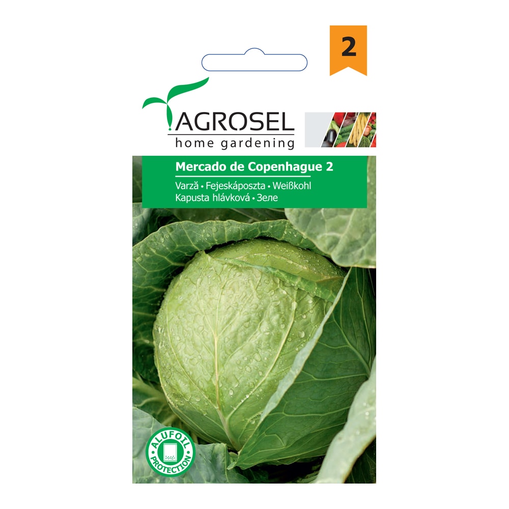 Seminte varza Mercado De Copenhague 2  Agrosel