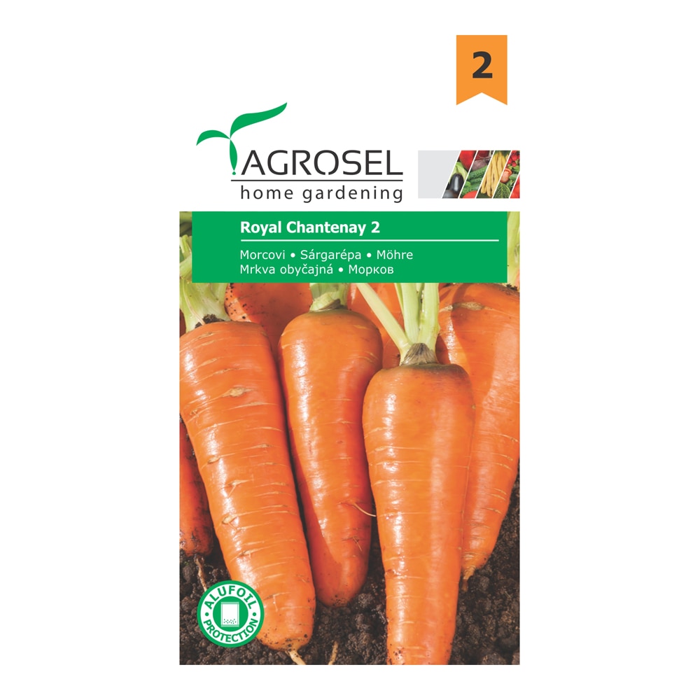 Seminte morcovi Royal Chantenay 2  Agrosel