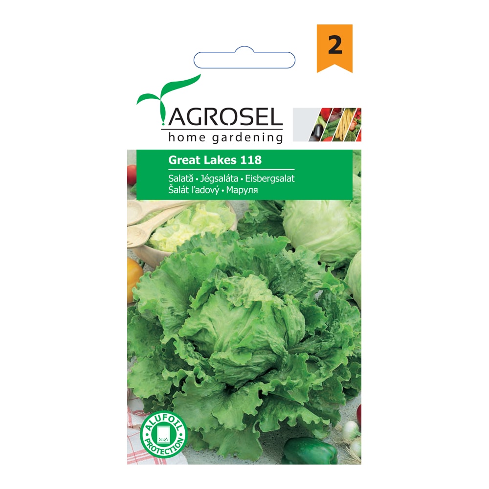 Seminte salata Great Lakes 118  Agrosel