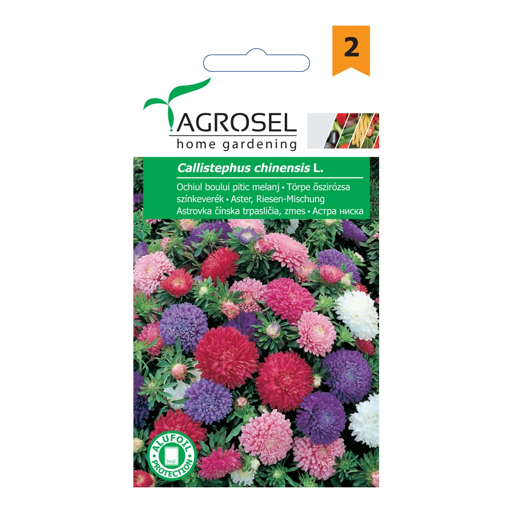 Seminte melanj Ochiul Boului Pitic   Agrosel