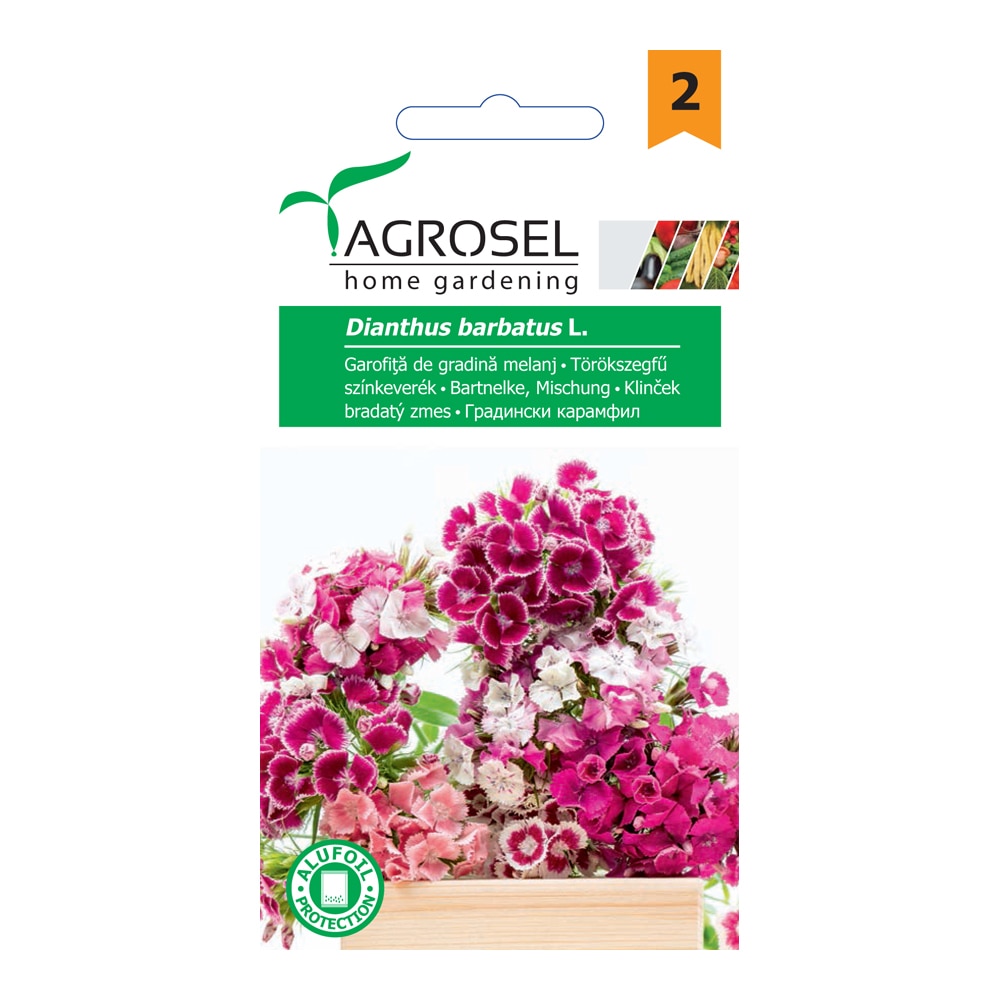 Seminte garofita  Agrosel