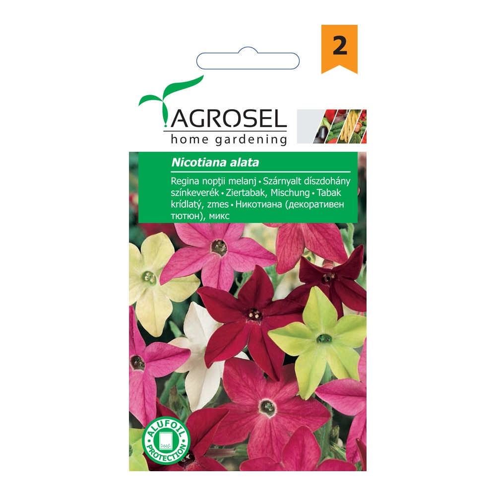 Seminte regina  Agrosel