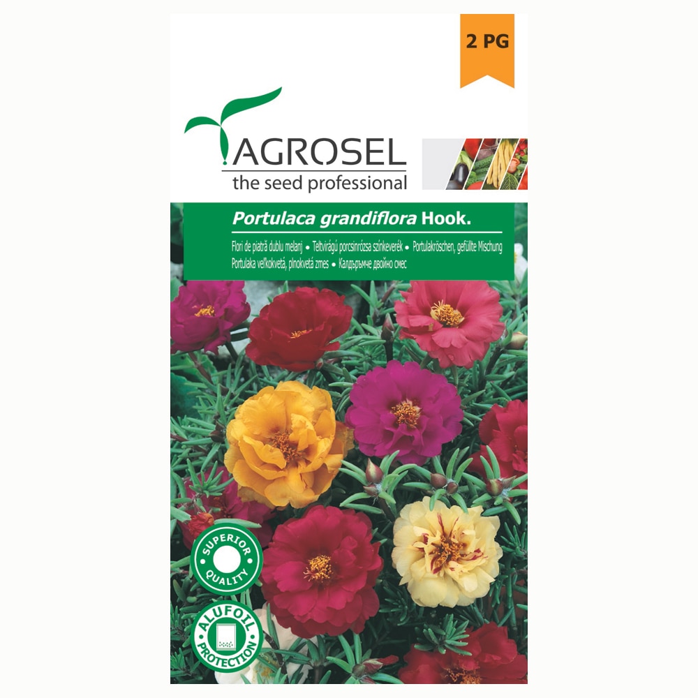 Seminte flori piatra  Agrosel