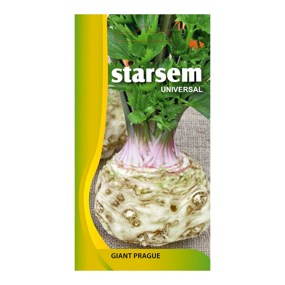 Seminte telina gigant