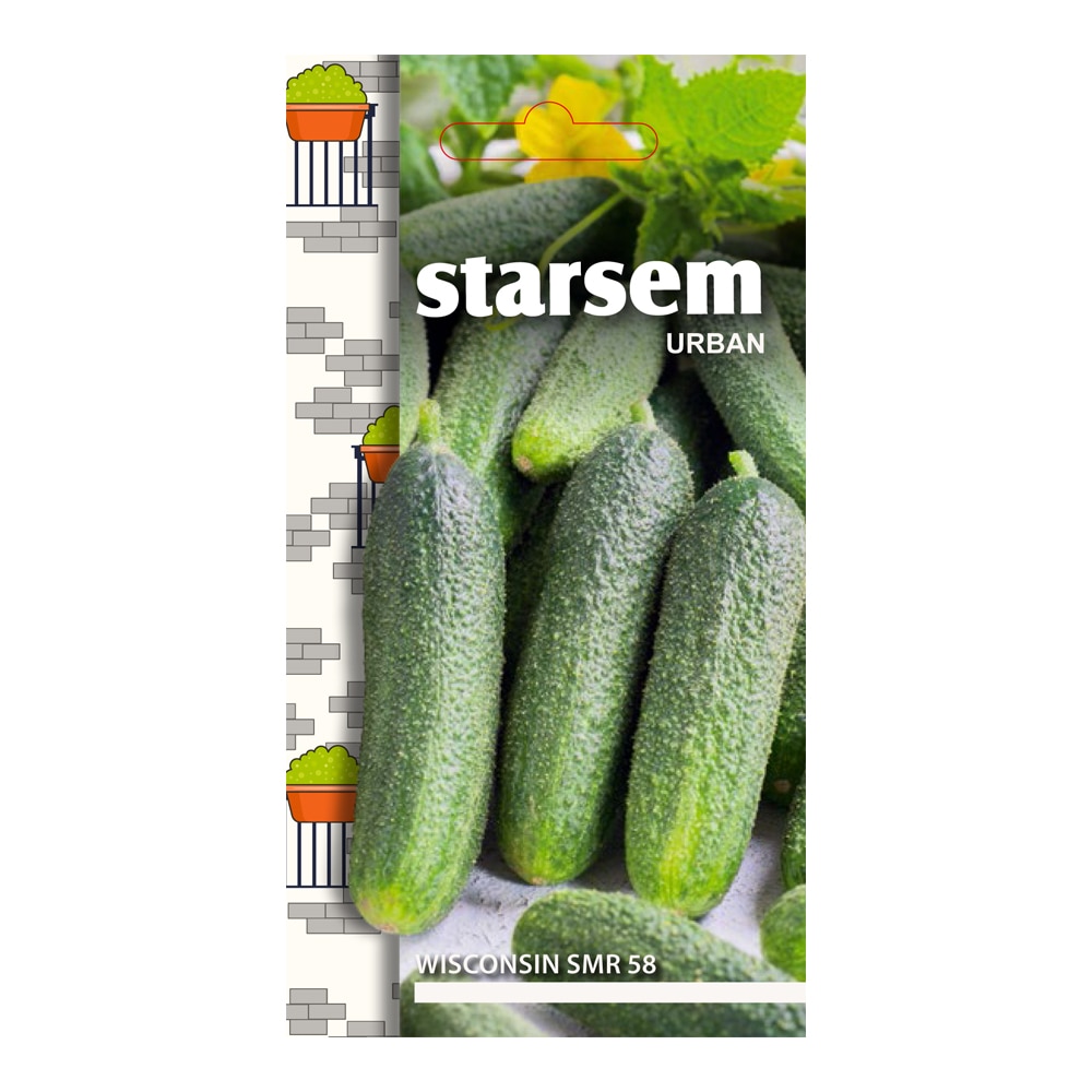 Seminte castraveti, Wisconsin  Starsem