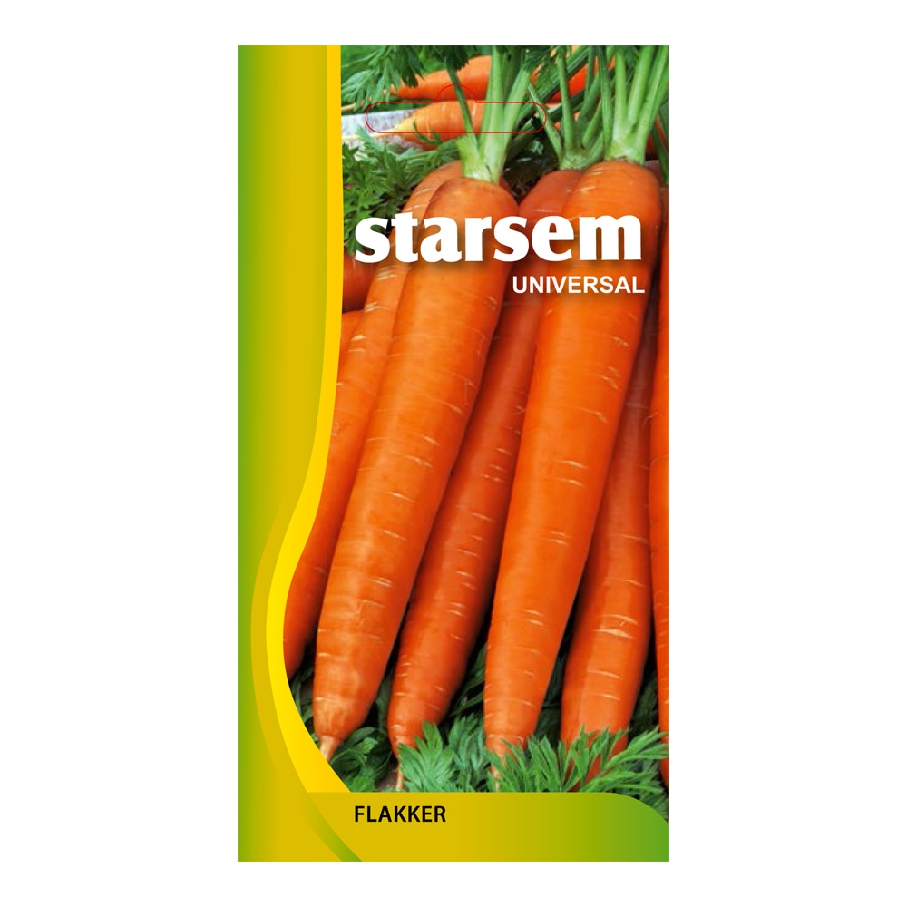 Seminte morcovi Flakker  Starsem