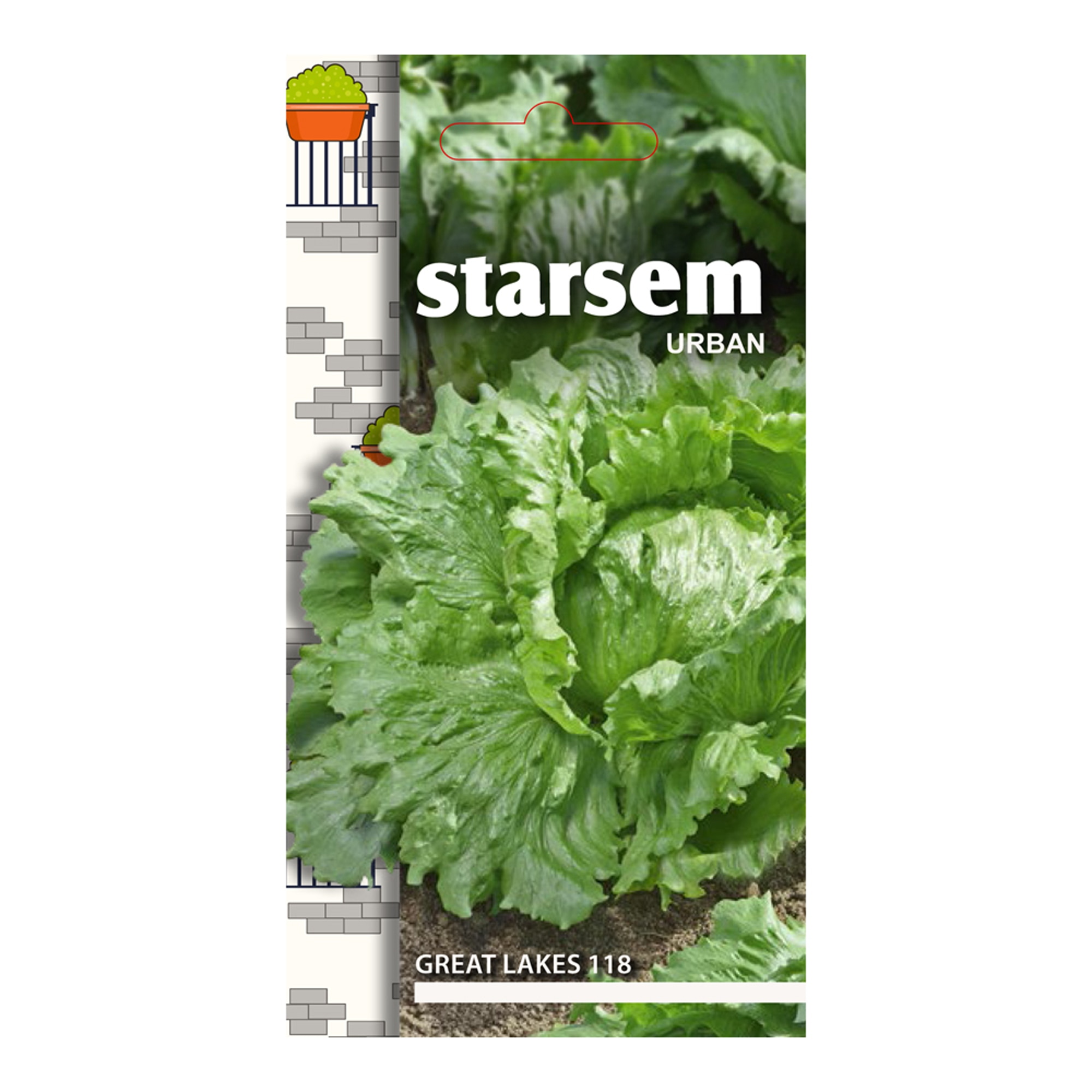 Seminte salata  Starsem