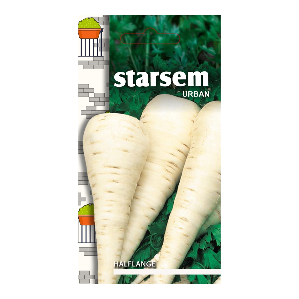 Seminte patrunjel radacina  Starsem