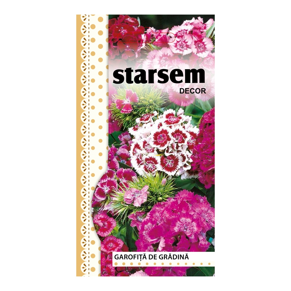 Seminte garofite de gradina