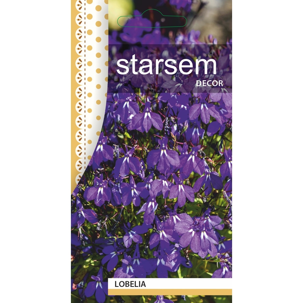 Lobelia Albastru Stsm