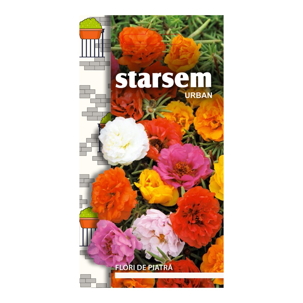 Seminte flori de piatra