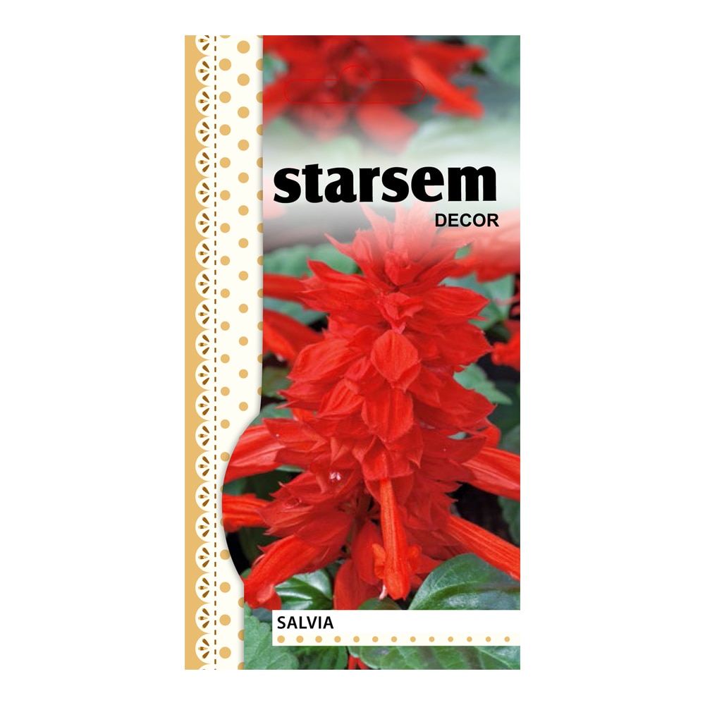 Seminte Salvie rosie