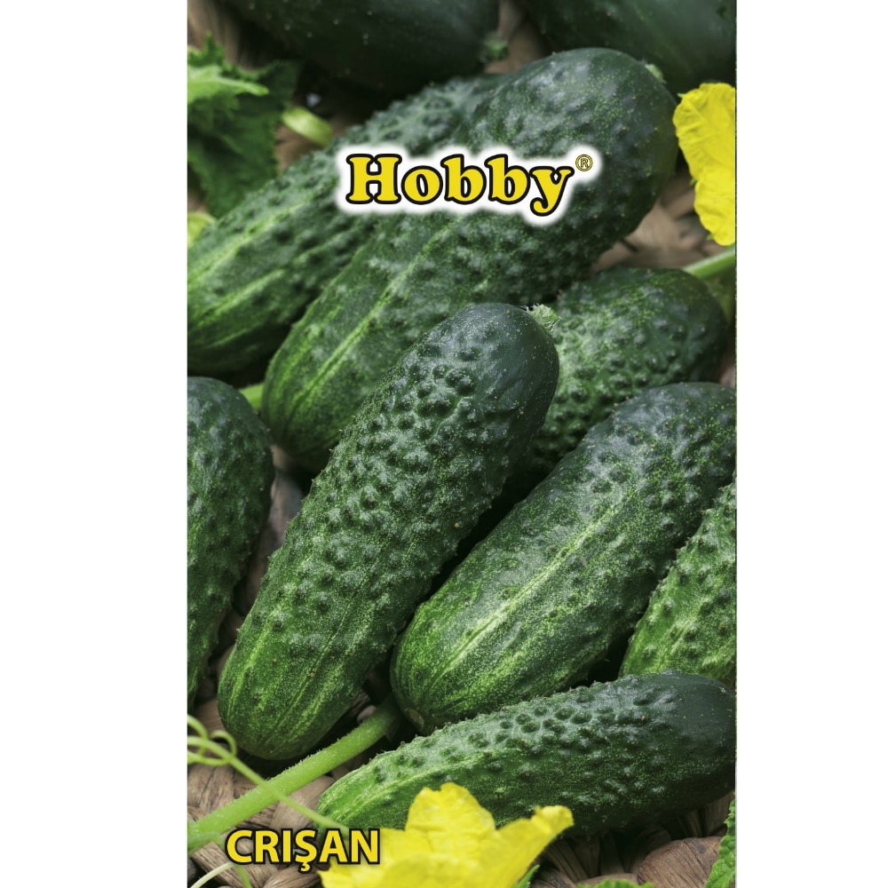 Seminte castraveti  Crisan AGROSEL, 3.45 g