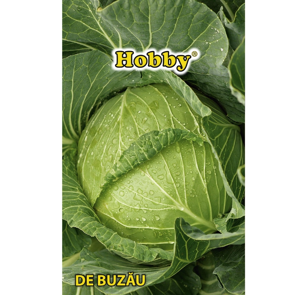 Sem Varza De Buzau Hob