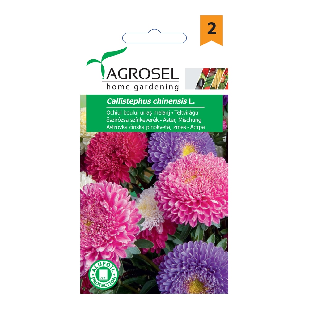 Seminte melanj Ochiul Boului Urias Nova   Agrosel