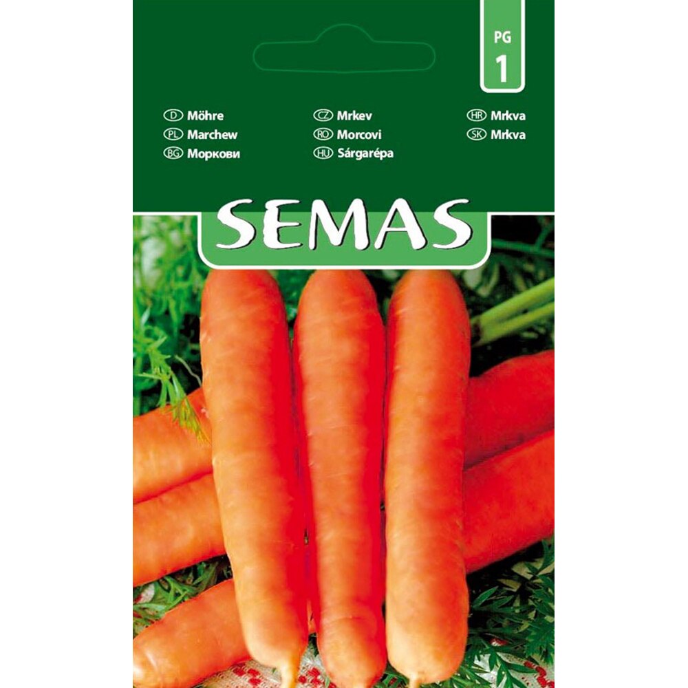 Morcovi Nantes 2 SEMAS, 2 g