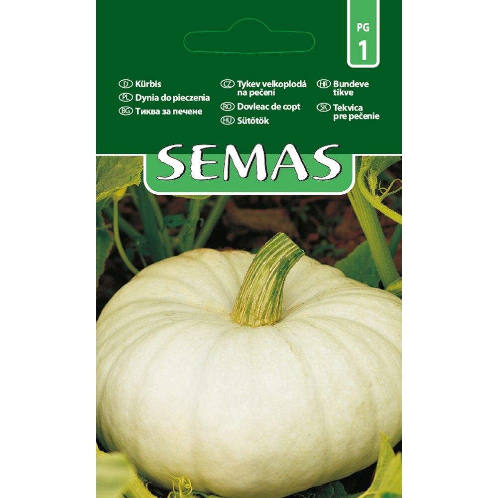 Dovleac de Copt Tudor SEMAS, 1 g