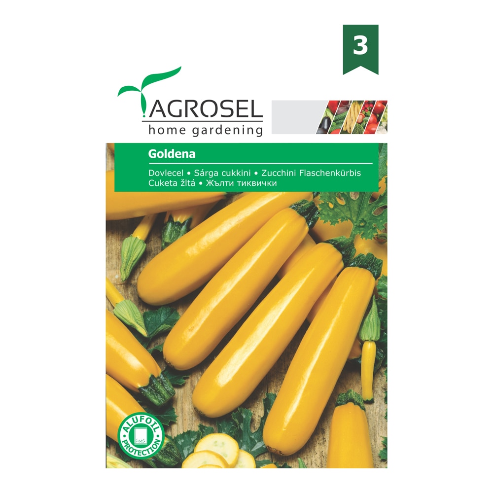 Seminte dovlecel galben