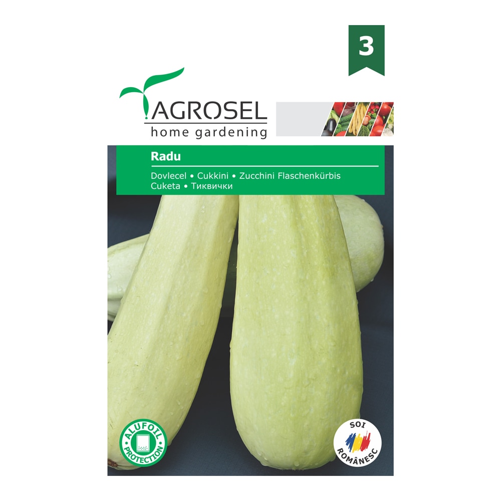 Seminte dovlecel Radu  Agrosel