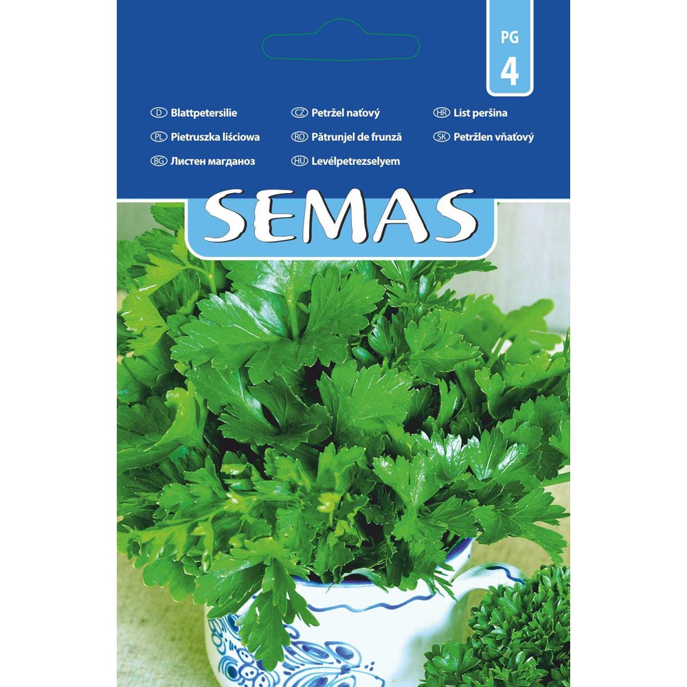 Patrunjel de Frunza Gigante D'italia SEMAS, 3 g