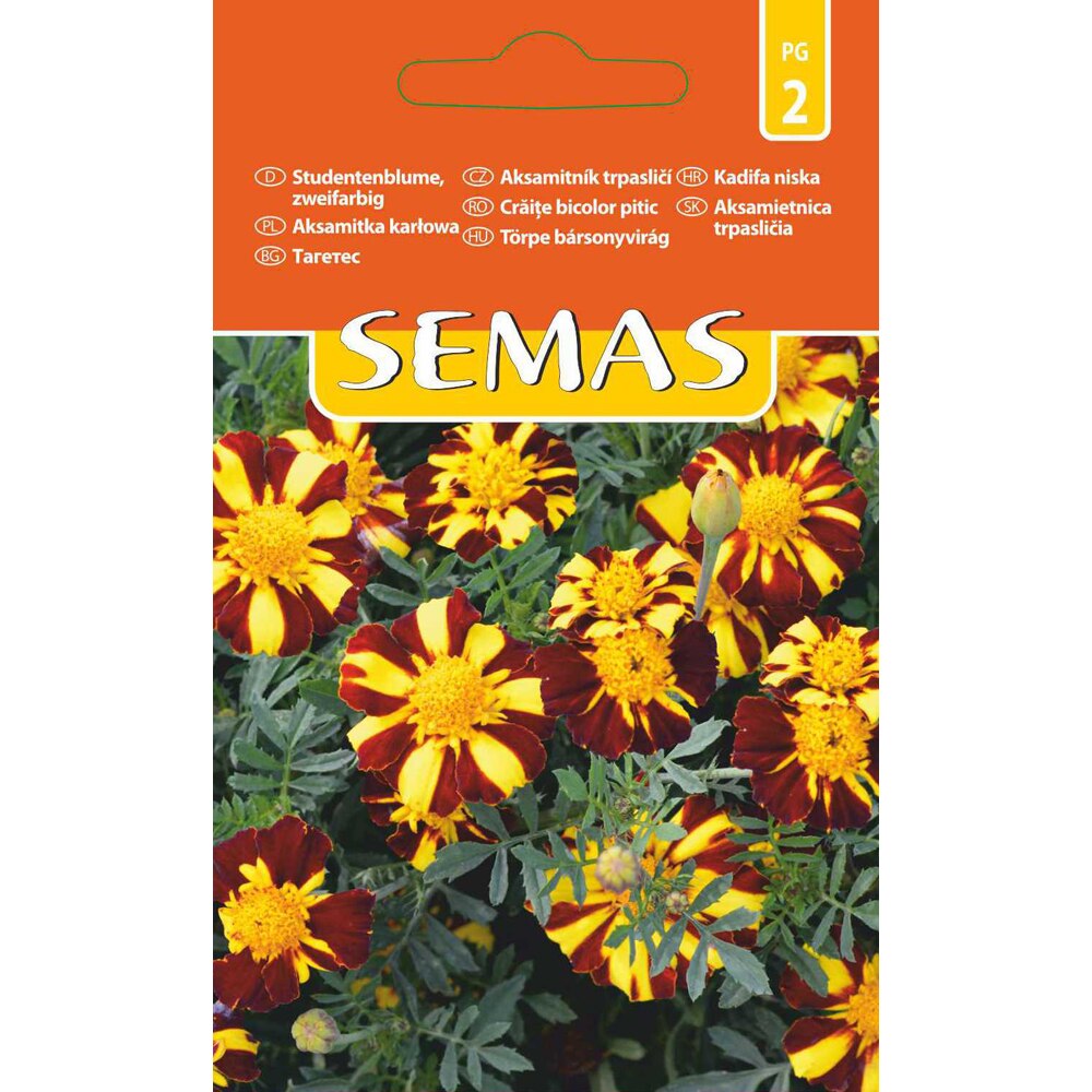 Craite Bicolor Pitic SEMAS, 1 g