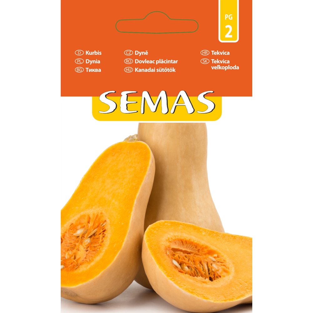 Dovleac Placintar Orange Agro SEMAS, 0.5 g