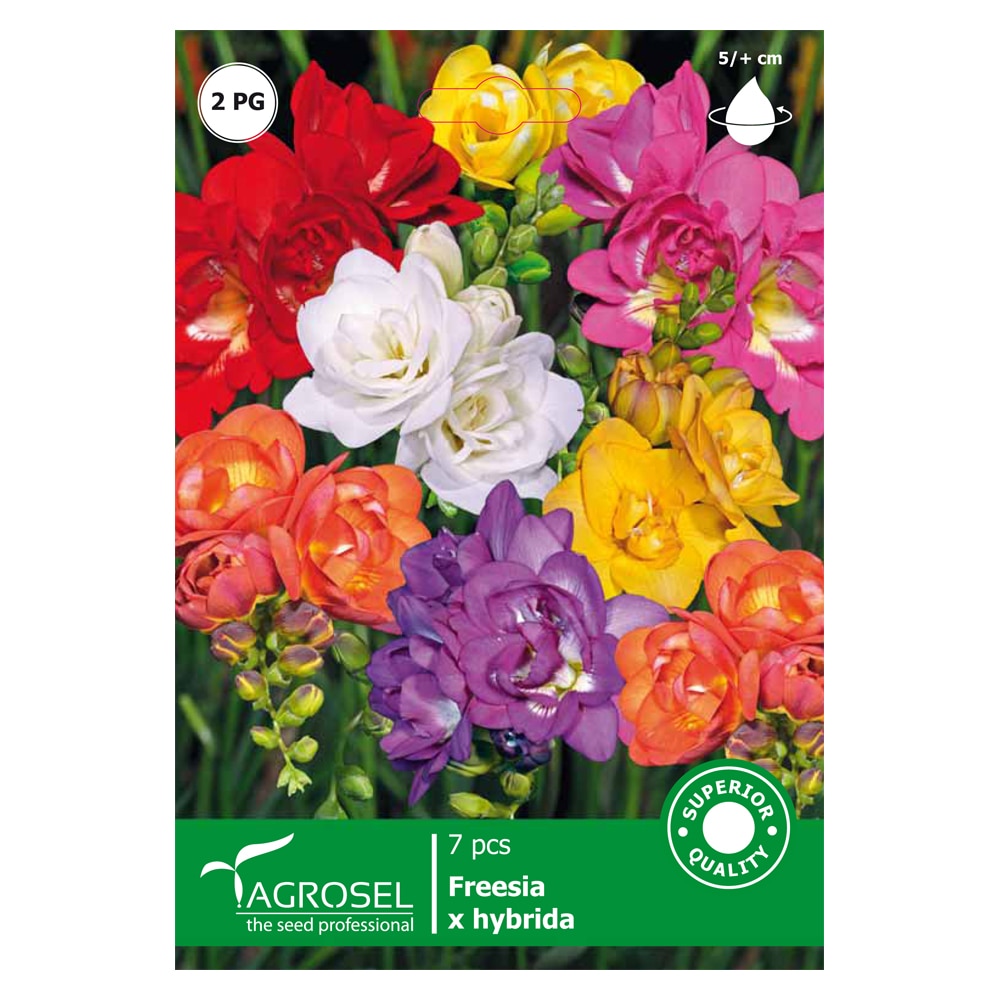 Bulbi Frezie Double Mixed AGROSEL