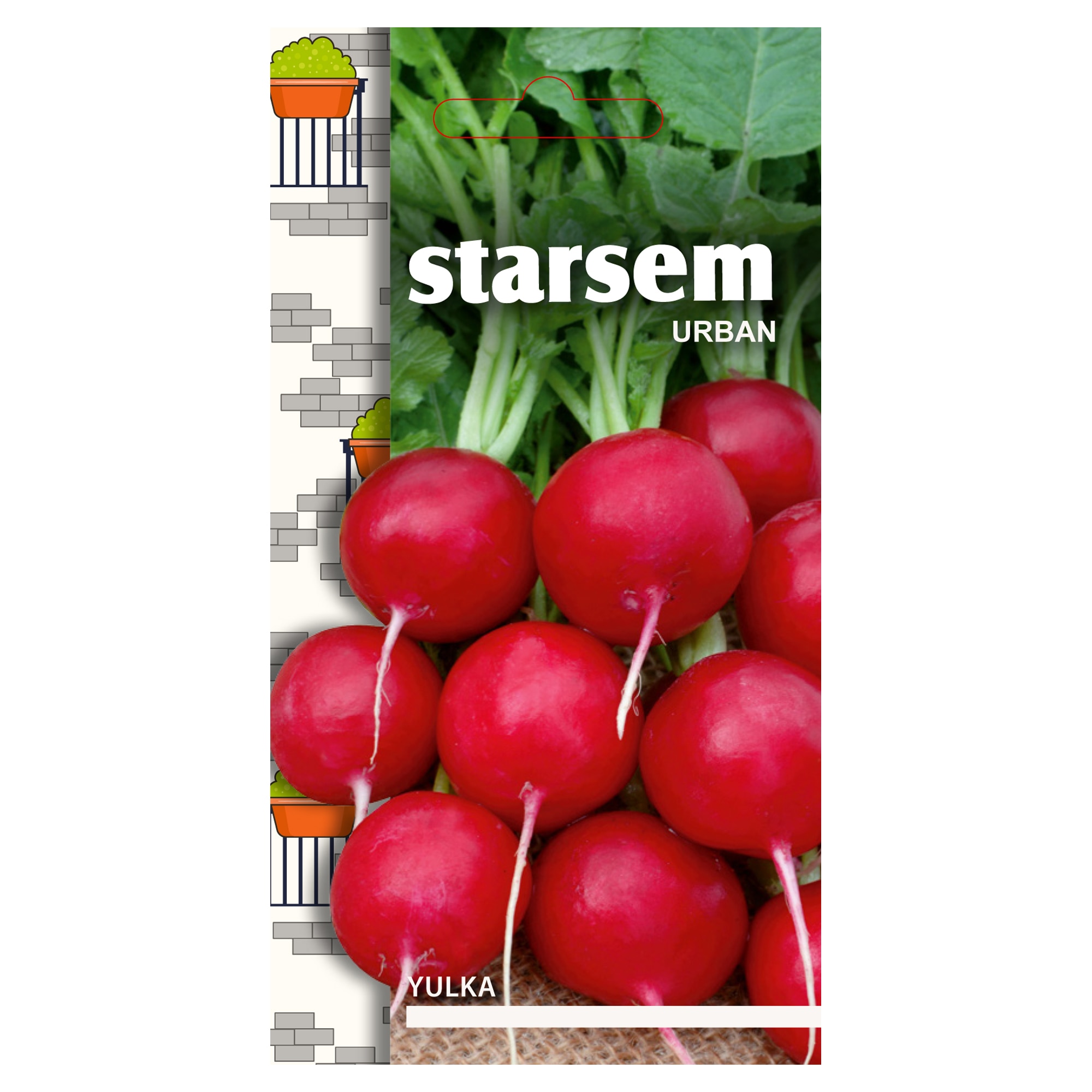 Seminte ridichi  Starsem