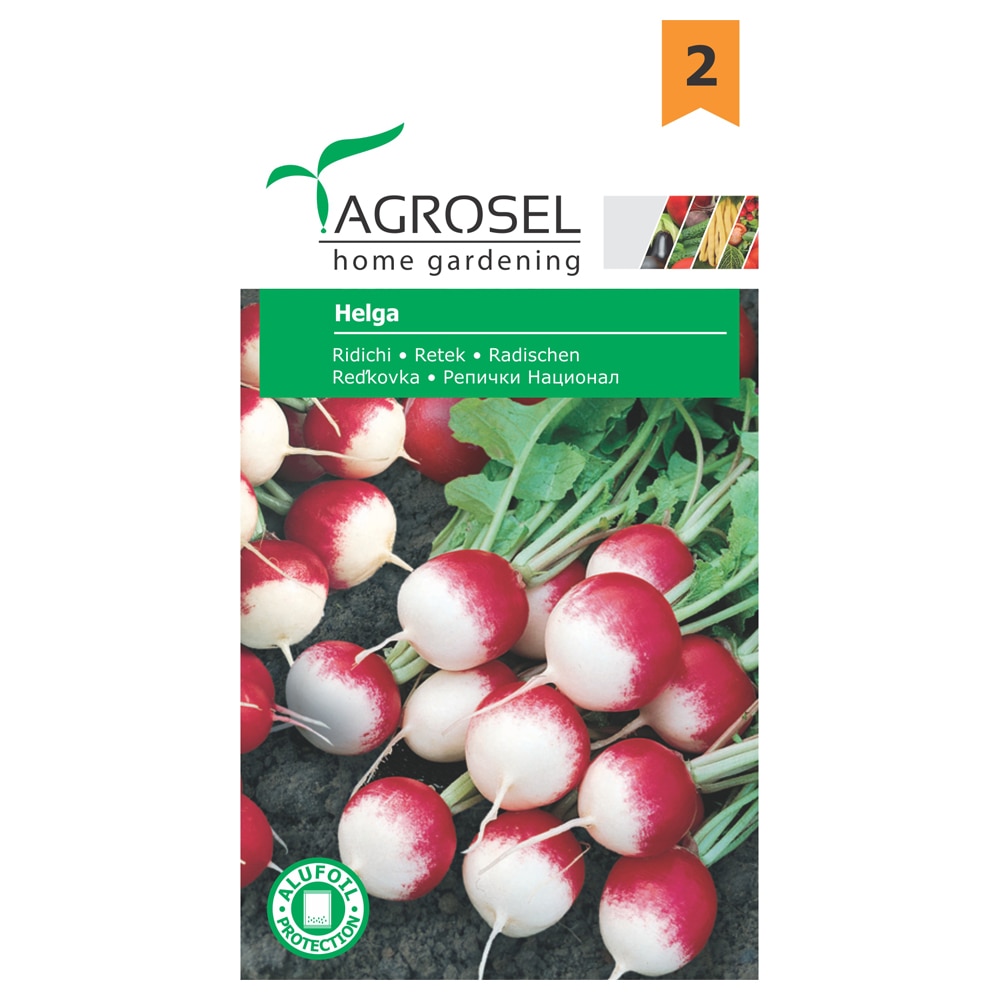 Seminte ridichi Helga  Agrosel