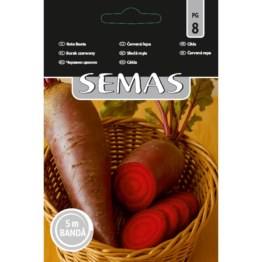 Sfecla Rosie Forono SEMAS, banda 