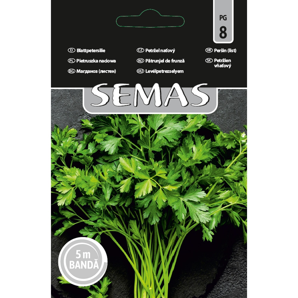 Patrunjel de Frunza Commun 2 SEMAS, banda 