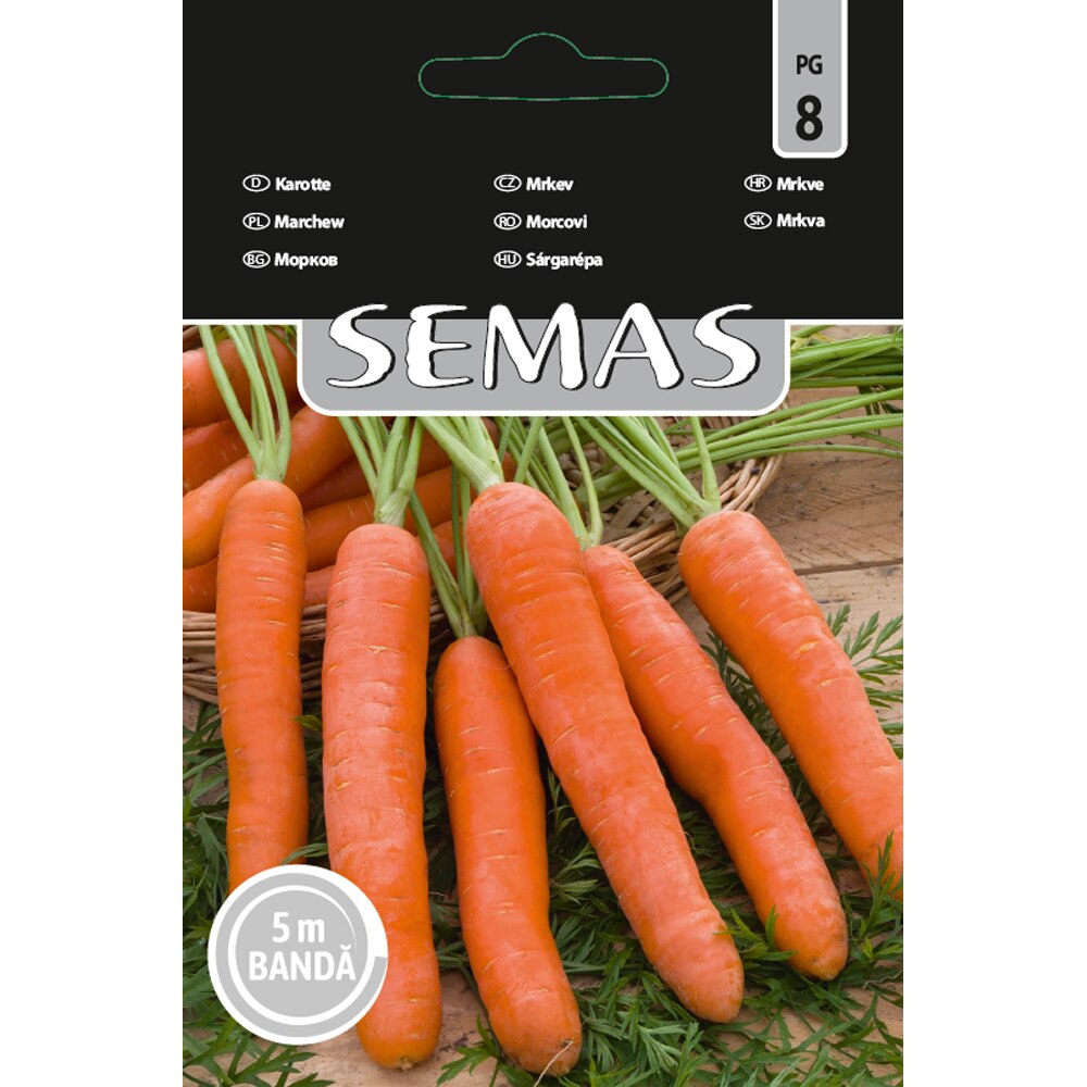 Morcovi Carnaval SEMAS, banda 