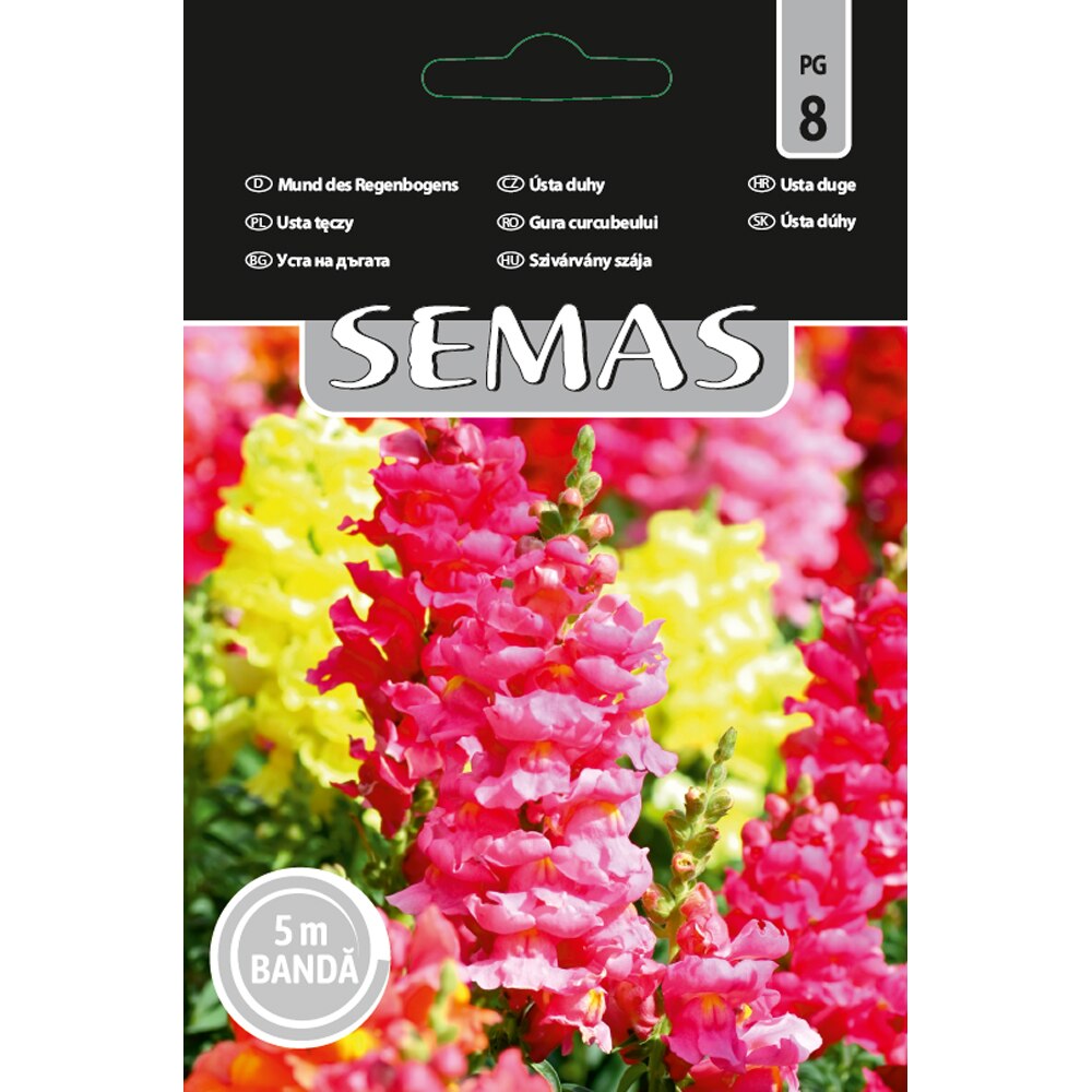 Gura Curcubeului SEMAS, banda 