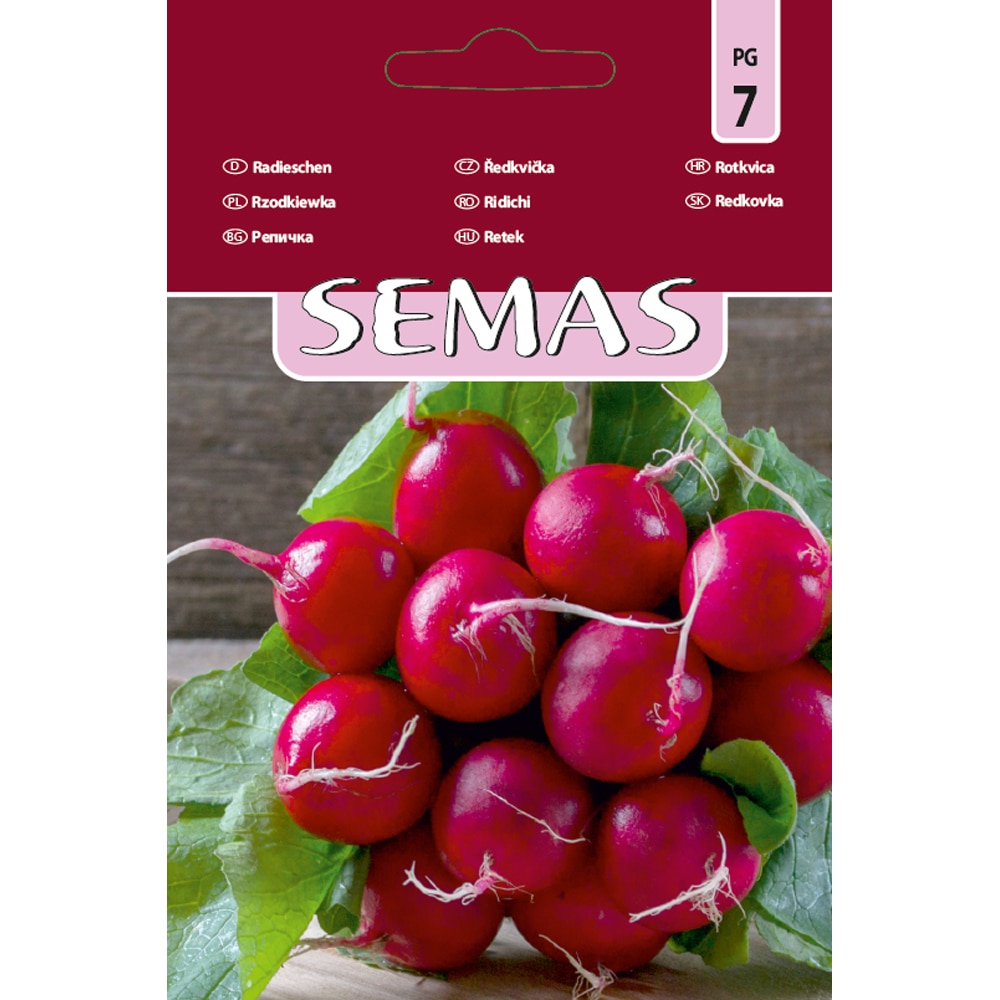 Ridichi de Luna Klara F1 SEMAS, 100 bucati