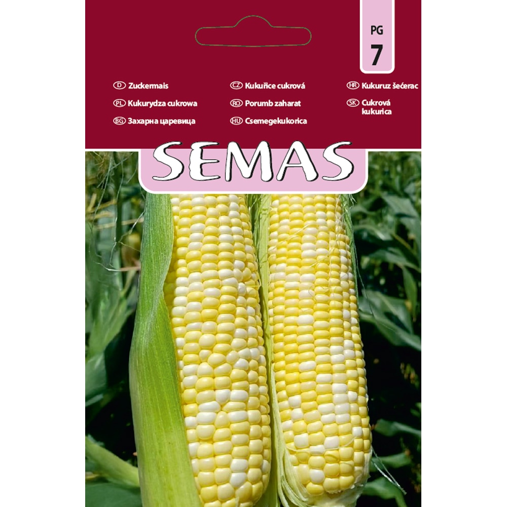 Porumb Zaharat BSS 1075 F1 SEMAS, 25 bucati