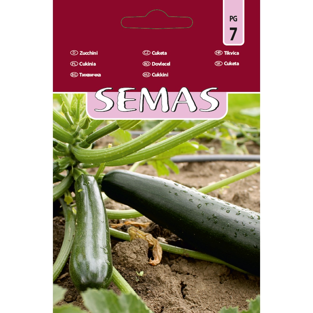 Dovlecel Ambassador F1 SEMAS, 10 bucati