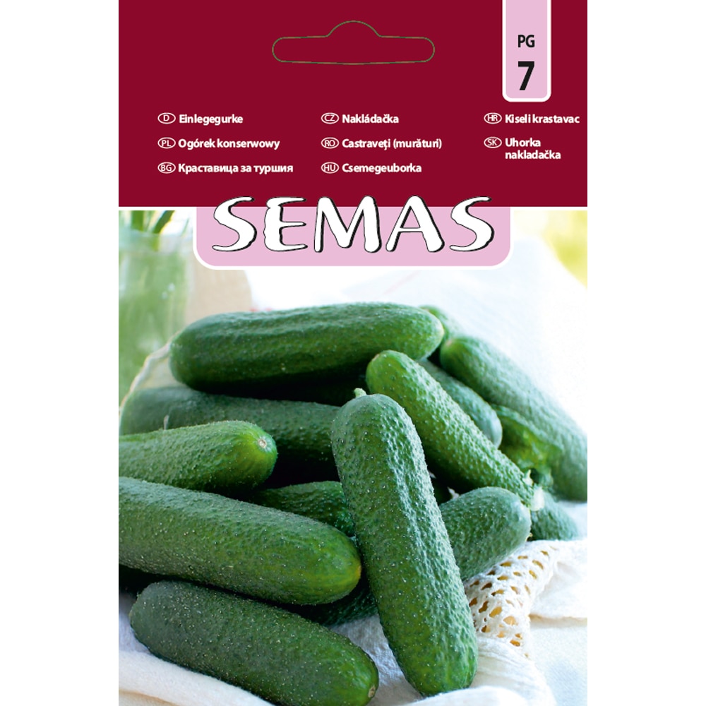 Castraveti Bicaz F1 SEMAS, 20 bucati