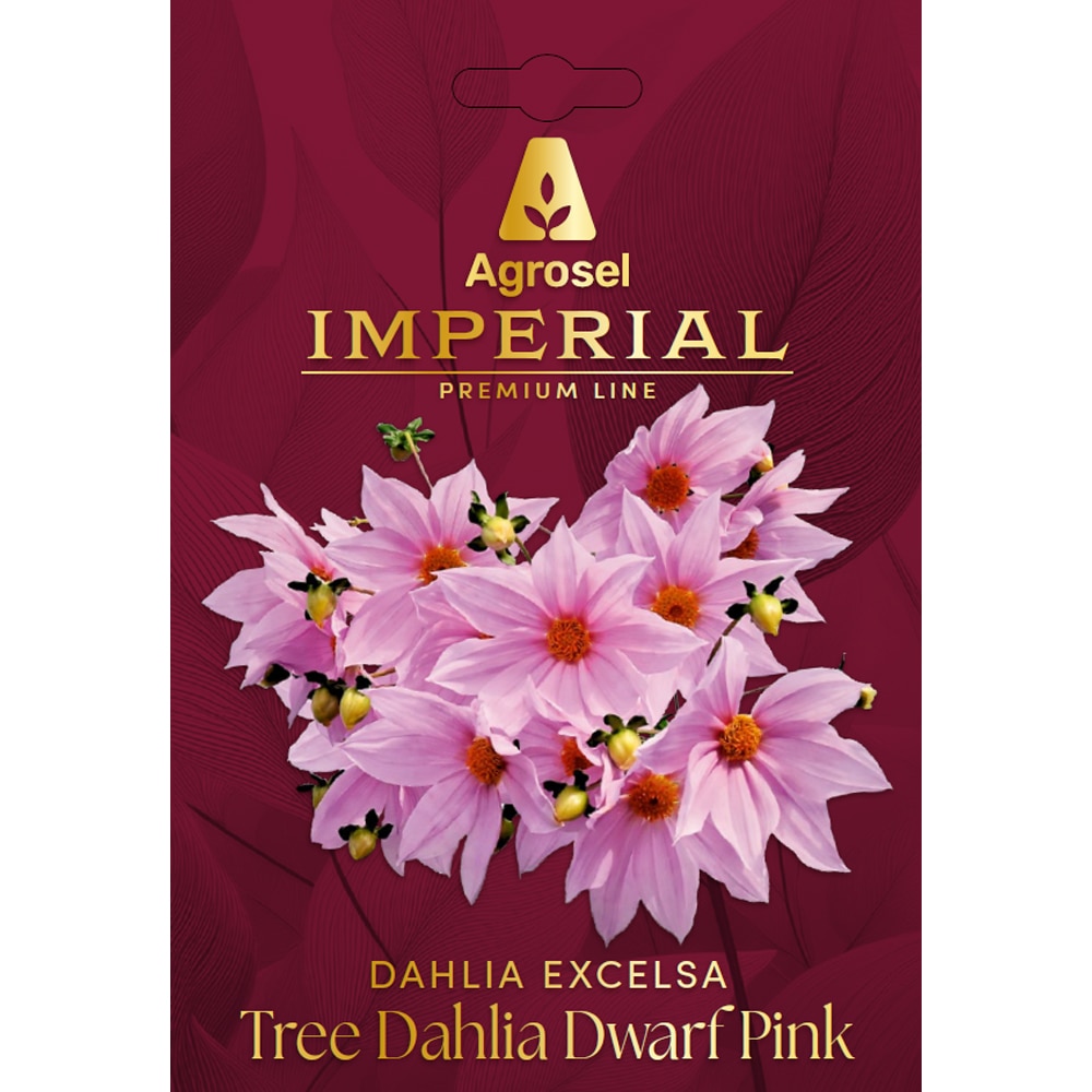 Dhalia Imperialis Tree Dhalia Dwarf Dark Pink AGROSEL, 1 bulb