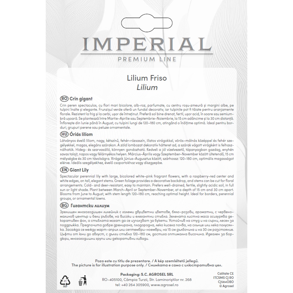 Crin Friso AGROSEL, 3 bulbi